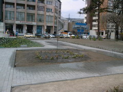 Portofoliu Casrom Garden