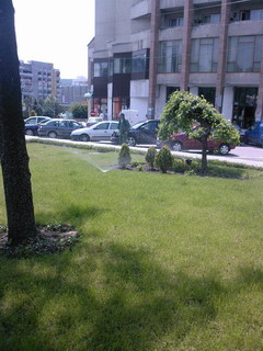Portofoliu Casrom Garden