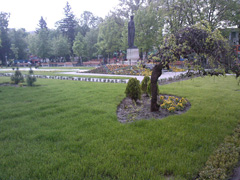 Portofoliu Casrom Garden
