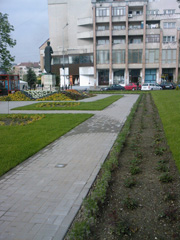 Portofoliu Casrom Garden