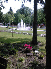 Portofoliu Casrom Garden
