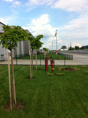 Portofoliu Casrom Garden