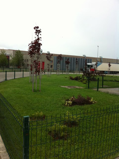 Portofoliu Casrom Garden