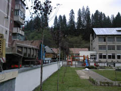 Portofoliu Casrom Garden