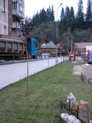 Portofoliu Casrom Garden